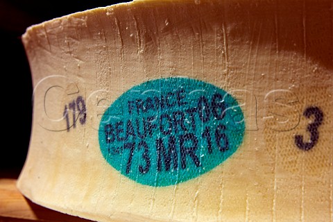 Beaufort cheese ageing at Monts et Terroirs cheese producers La Bathie Savoie France