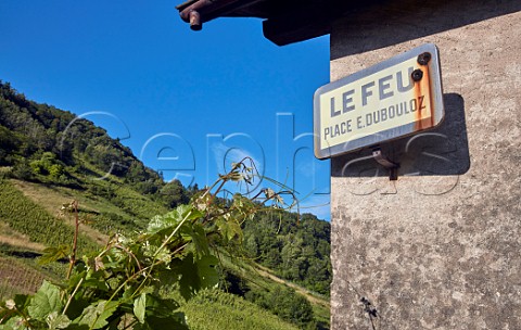 Sign on building at Le Feu with vineyards of Domaine Belluard  Ayze HauteSavoie France