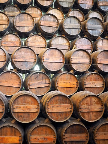 Barrel room of Bacalhoa Vinhos de Portugal Azeito Portugal