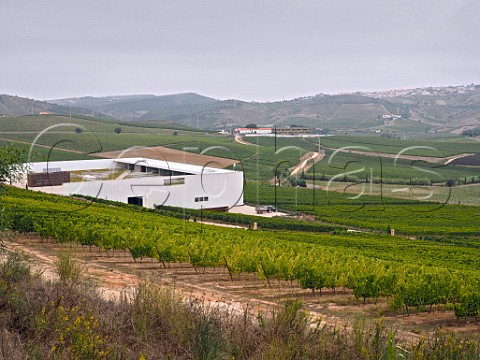Winery and vineyard of AdegaMe Ventosa Portugal Torres Vedras