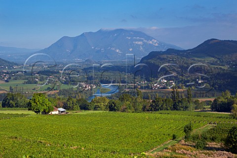 View over vineyards to village of Lucey and its bridge over the River Rhne from La Butte SaintRomain Savoie France  Jongieux