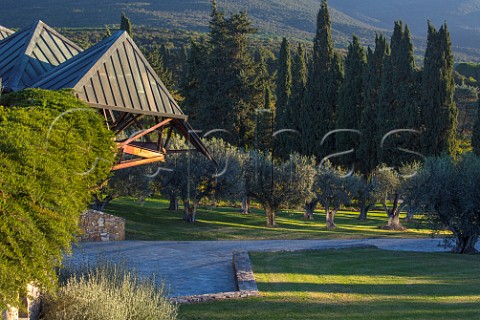 Ca Marcanda winery roof and olive grove Castagneto Carducci Tuscany Italy  Bolgheri
