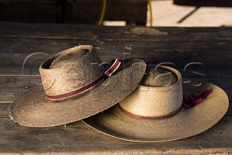 Chupallas   traditional straw hats worn by Chilean horsemen