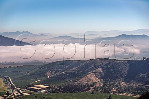 Winery and vineyards of Via Chocalan with fog covering the Maipo River beyond Melipilla Chile  Maipo Valley