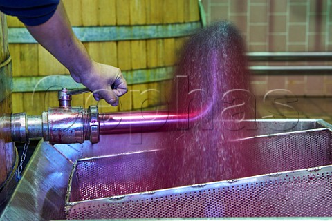 Pumping over Cabernet Sauvignon must in winery of Haras de Pirque Maipo Valley Chile
