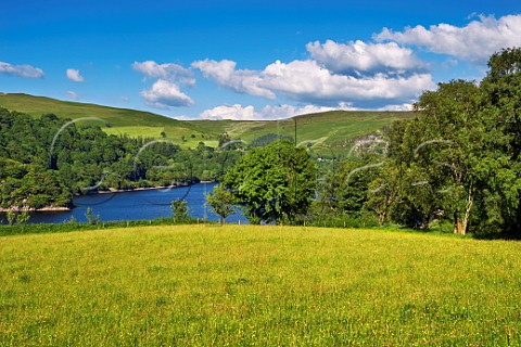 Traditional hay meadow SSSI of Troedrhiwdraen Farm above Pen y Garreg reservoir  Elan Valley Rhayader Powys Wales
