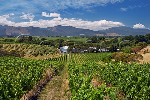 Dog Point winery and vineyards in the Omaka Valley Fairhall Marlborough New Zealand