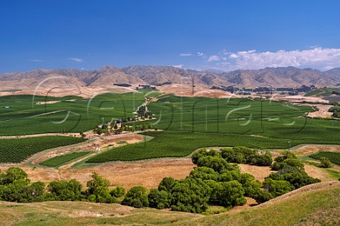 Vineyards south of Seddon Marlborough New Zealand Awatere Valley