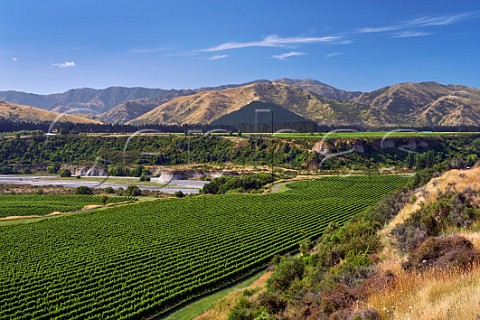 Tupari Vineyard above the Awatere River planted with Sauvignon Blanc The large block in foreground is contracted to Oyster Bay and the one on left to Greywacke Seddon Marlborough New Zealand  Awatere Valley