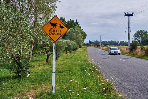 Wildlife Crossing road sign Fairhall Marlborough New Zealand
