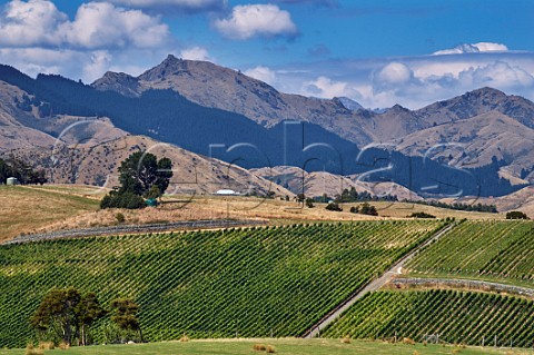 Spy Valley Outpost Vineyard in the Omaka Valley Marlborough New Zealand
