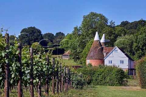 Oast House Meadow vineyard of Hush Heath Estate Staplehurst Kent England