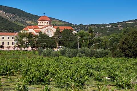 Irrigated vineyard of the Robola Wine Cooperative by Agios Gerasimos Monastery in the Omala Valley Cephalonia Ionian Islands Greece
