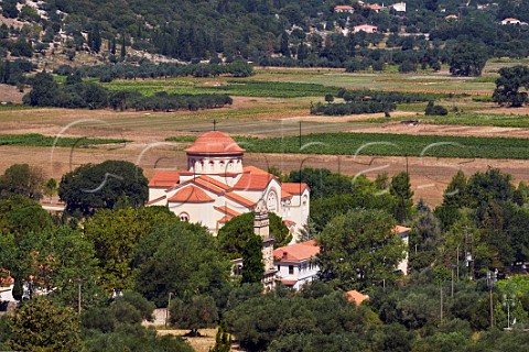 Vineyards of the Robola Wine Cooperative by Agios Gerasimos Monastery in the Omala Valley Cephalonia Ionian Islands Greece