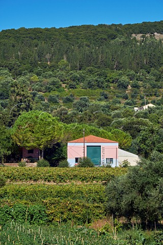 Winery and vineyards of Haritatos near Lixouri on the Paliki Peninsula Cephalonia Ionian Islands Greece