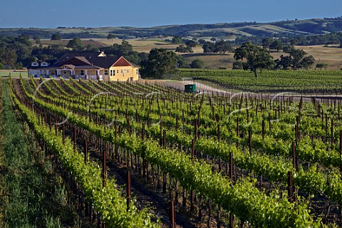 Red Head Ranch and vineyards Templeton San Luis Obispo California Paso Robles El Pomar District