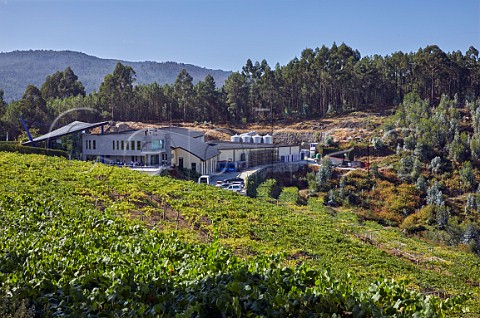 Winery and vineyard of Mar de Frades Meis Galicia Spain  Val do Salns  Ras Baixas