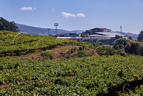 Winery and pergolatrained vineyard of Martin Cdax Cambados Galicia Spain  Val do Salns  Ras Baixas