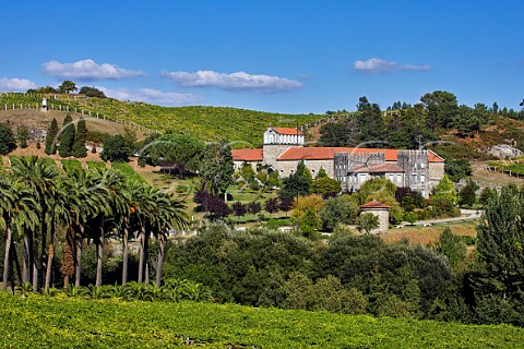 Pergolatrained Albario vineyard at Pazo Bain Vilanova de Arousa Galicia Spain  Val do Salns  Ras Baixas