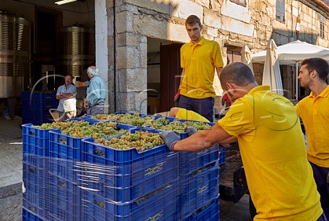 Crates of Albario grapes arrive at the bodega of Palacio de Fefianes in Cambados Galicia Spain  Val do Salns  Ras Baixas
