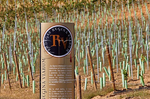 Sign by new vineyard of Bodegas Regina Viarum  Doade Galicia Spain  Ribeira Sacra  subzone Amandi