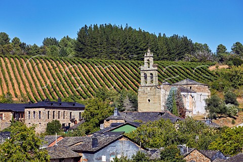 Bodegas and vineyard of Pittacum by the church in the village of Arganza Castilla y Len Spain  Bierzo