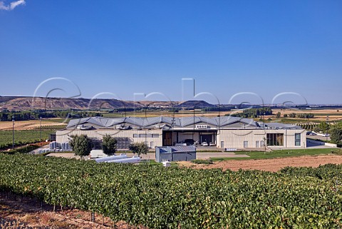 Bodegas Cepa 21 and its vineyards Castrillo de Duero Castilla y Len Spain  Ribera del Duero