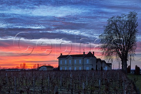 Chteau la Commanderie and its winter vineyard at dusk  Stmilion Gironde France Saintmilion  Bordeaux