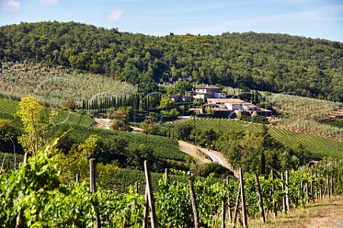 Vineyards and winery of Colle Bereto Radda in Chianti Tuscany Italy  Chianti Classico