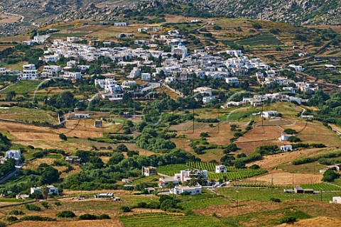 Vineyards of Vaptistis Winery with village of Falatados beyond  Mesi Tinos Greece