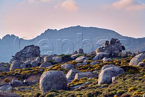 Granite boulders on the Volax Plateau  Tinos Greece