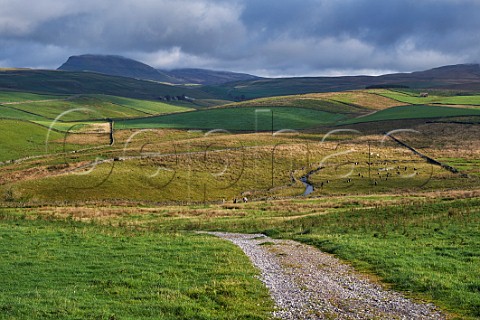 Unsurfaced road near Stainforth Yorkshire Dales National Park England