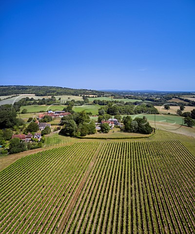 Vineyard of Stopham Estate with the Church of St Mary the Virgin beyond Stopham Sussex England