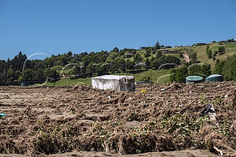 Vineyard of Linden Estate destroyed by Cyclone Gabrielle on 14 February 2023  Esk Valley Napier New Zealand  Hawkes Bay
