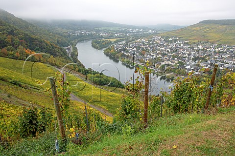 View along the Mosel valley from the BernkastelKueser Schlossberg vineyard Bernkastel Germany Mosel