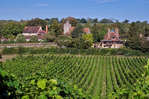 Vineyard of Silverhand Estate Solaris in foreground overlooking the village of Luddesdown with its Manor House Church and Court Lodge Gravesham Kent England