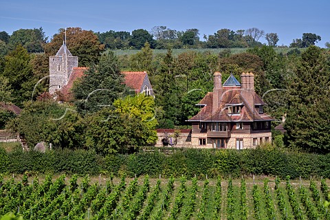 Vineyard of Silverhand Estate by the village of Luddesdown with its Church and Court Lodge Gravesham Kent England