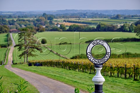 West Sussex County Council post at Coldharbour Vineyard of Sugrue South Downs  Sutton West Sussex England