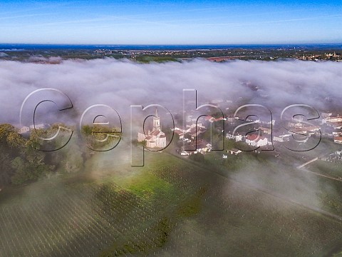 Morning fog in the Garonne Valley at Loupiac  Gironde France  Cadillac Ctes de Bordeaux