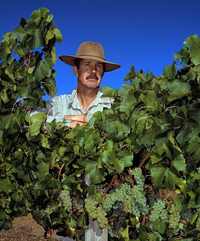 John Brocksopp consultant viticulturist to Leeuwin   Estate in Margaret River and owner of Lillian in   Pemberton Western Australia