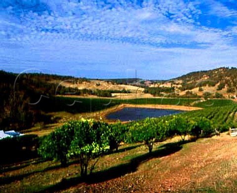 Chittering Estate vineyards   Chittering Western Australia  Perth Hills