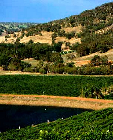 Vineyards around the irrigation dam on Chittering Estate   Chittering Western Australia Perth Hills