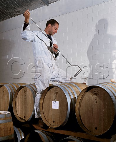 Winemaker preparing to stir the lees btonnage in barrels of Chardonnay  Chittering Estate Chittering Western Australia  Perth Hills