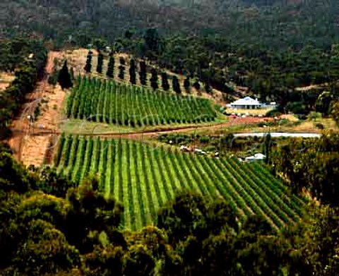 Vineyards of Chittering Estate Chittering   Western Australia Perth Hills