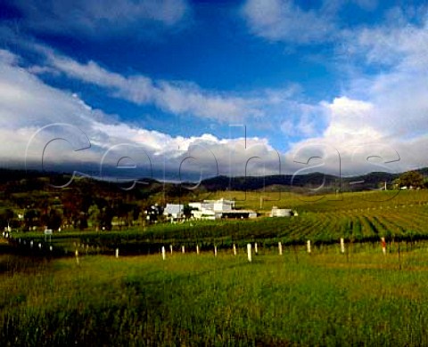 Lindemans Estate vineyard Pokolbin   New South Wales Australia Lower Hunter Valley