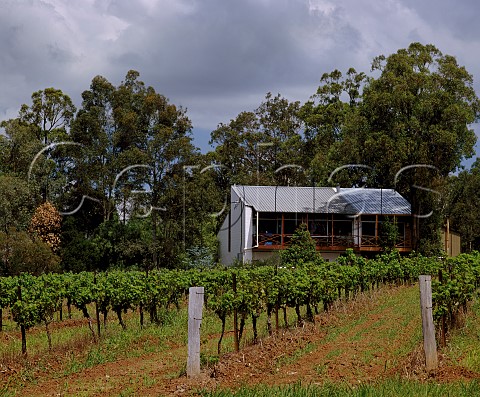 Brokenwood Winery and the Cricket Pitch Vineyard  Pokolbin New South Wales Australia  Lower Hunter Valley