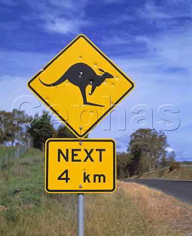 Road signs warning of kangaroos are popular for   target practice   Victoria Australia
