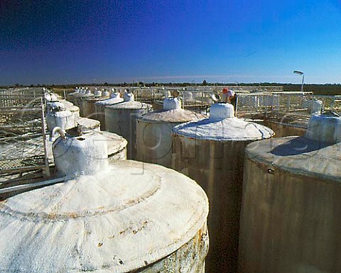 Insulated fermenting tanks at Lindemans Karadoc   Winery Victoria Australia    Murray Darling