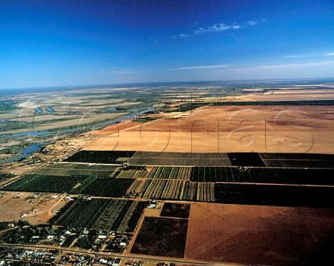 Citrus groves and the meanderings of the Murray   River at Renmark SA