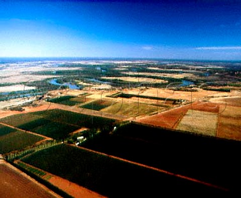 Vineyards and citrus groves by the Murray River  in   the foreground is part of the 1200acre vineyard   owned by Angoves  Renmark South Australia  Riverland